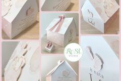 Maxi House Box