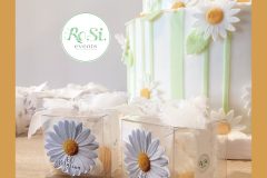 Torta Scenografica in pasta di zucchero &Scatoline Portaconfetti