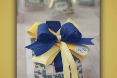Biscotti-Maioliche