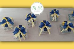 Biscotti-Maioliche