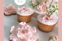 Biscotti &CupCakes-Prima Comunione