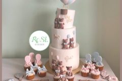 Torta Scenografica& Dolci-Baby Shower