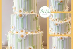 Torta Scenografica-Margherite