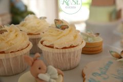 Cupcakes-La Primavera