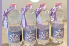 Bottigliette Acqua-Frozen 2